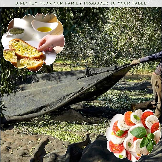 WellEatable Robust +1200 mg/kg Polyphenol Rich Olio Italiano 2024/25 Early Harvest Organic Extra Virgin Olive Oil from Italy Lab Tested Cold Extracted for Drinking and Finishing 16.9 fl oz