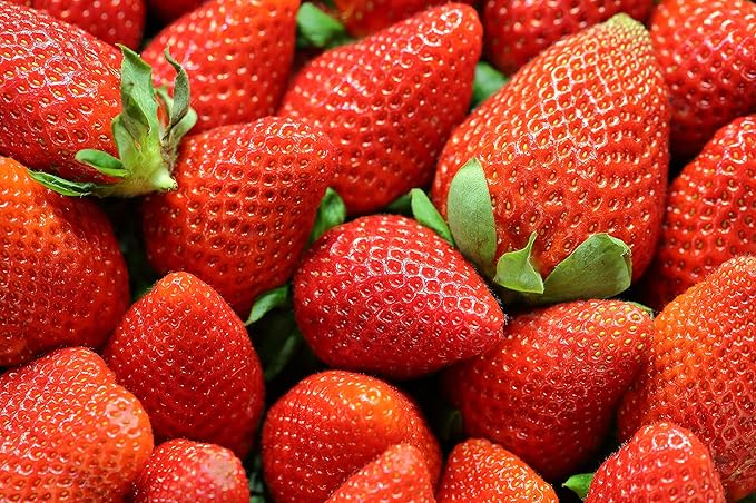 Dehydrated Strawberries - Deliciously Sweet and Nutritious Healthy Snacks / Strawberry Chips/ kids snacks Hikers Delight sweet nutritious and easy to store. They are a good source of vitamin C f