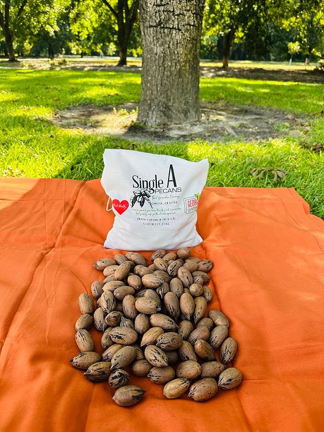 Single A Pecans: Georgia Grown Premium In-shell Pecans 5 lbs- Perfect for snacking! Current season pecans!