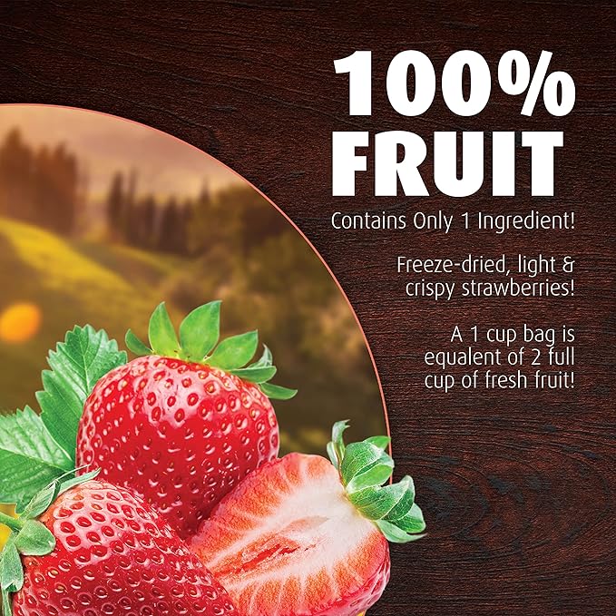Brothers All Natural Freeze Dried Fruit Crisps Strawberry 1 Oz (Pack of 8) Made with 100% Fruit Gluten Free Soy Free Vegan Healthy Snack Resealable Pouch