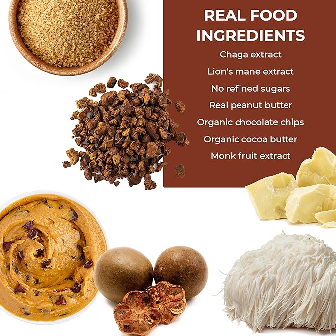 Laird Superfood Functional Protein Bars – Protein Bar but Better with Real Ingredients Functional Mushrooms 10g Plant-Based Protein 6g Fiber - Non-GMO - Peanut Butter Chocolate Chip 10 Count (Pack