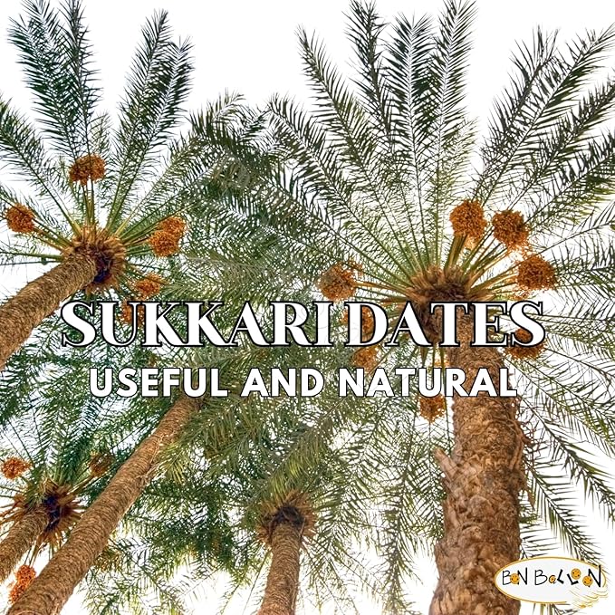 Brilliant Sukkari Dates Premium Palm Palms Dates Natural Pure Delicious Sweet Uncompressed Ratab Halal Kosher Gmo Free Tamar Tamr Tamaar Fresh Saudi Arabia Vegan Ramadan (1 Pack = 12.7 oz / 360 gm)