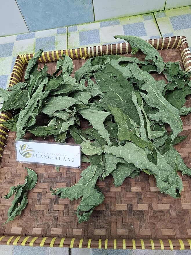 Daun Pepaya - Carica papaya Dried Leaf (80 Gram)