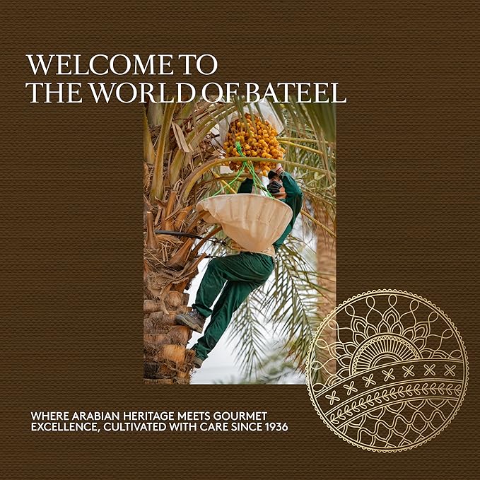 Bateel Palm Box – Small Premium Plain Dates | Luxury Dates Gift Box | Perfect for Eid Ramadan Corporate Gifts