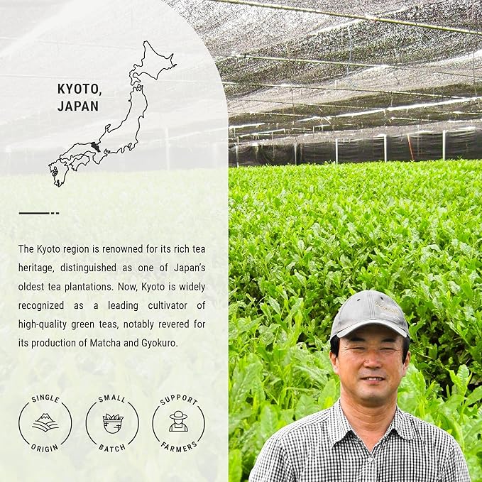 Senbird Premium Gyokuro Japanese Shade Grown Green Tea - From Kyoto Japan - Imperial Loose Leaf Green Tea In Airtight Tea Tin (1.76oz/50g) (Kotobuki)
