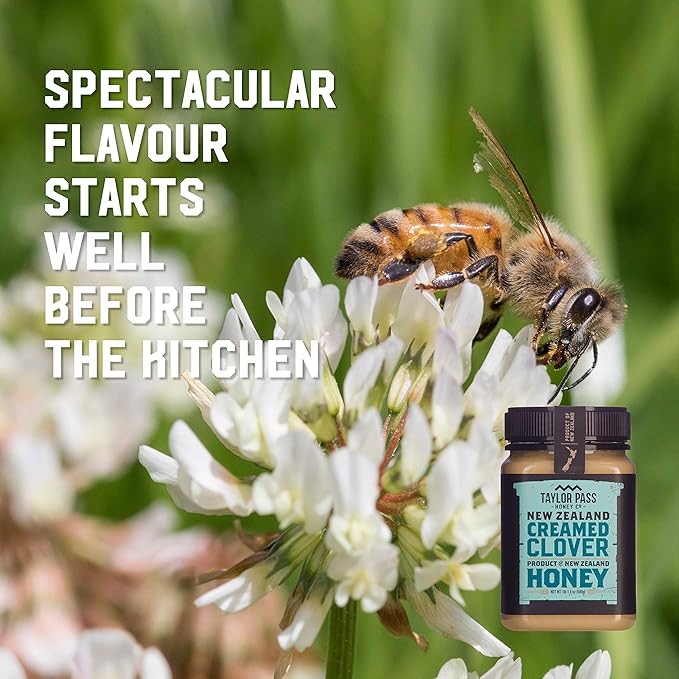 Taylor Pass Honey Co Creamed Clover Honey | Raw Creamed New Zealand Honey | Naturally Sweet &amp Velvety | Non-GMO Halal B Corp Certified | BPA-Free Jar | 1 lb 1.6 oz