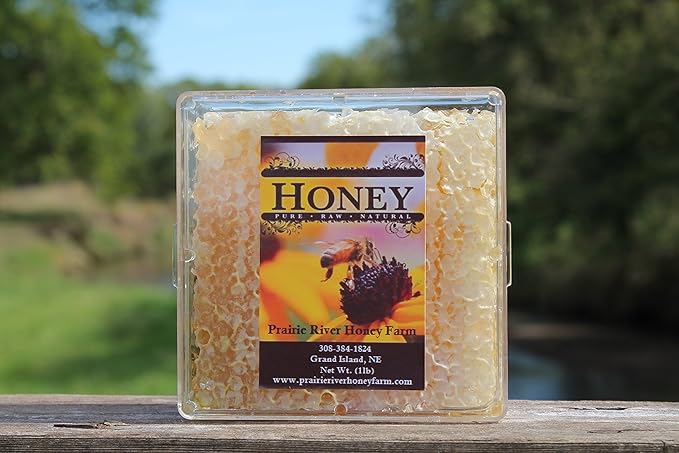 Raw Comb Honey Pure Natural Nebraska Honey (16 oz) Cut Comb