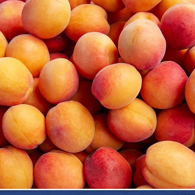 Traina Home Grown California Sun Dried Jumbo Ruby Royal Apricot Halves - SEASONAL/LIMITED - Healthy No Sugar Added Non GMO Gluten Free Kosher Certified Vegan Value Size (5 lbs)