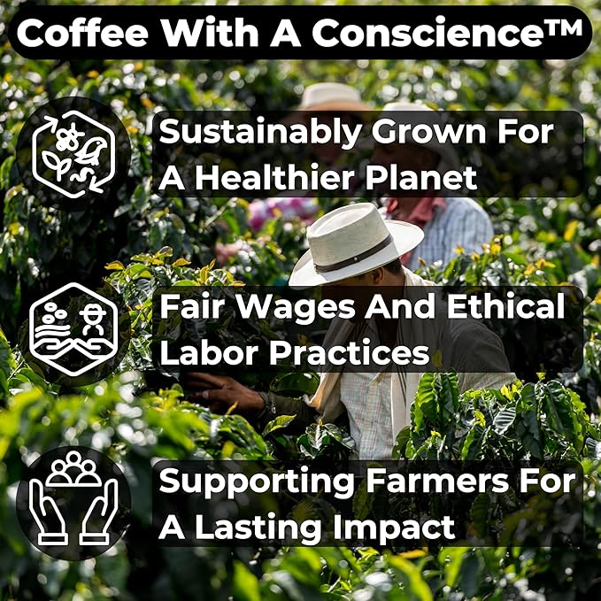 Lunar Eclipse Espresso - 2-Pack - Freshly Roasted After Your Order – Specialty Grade Low Acid Artisanal Dark Roast Whole Bean Coffee No Bitterness Ethically Sourced - Pack of 2 (12 Ounces Each)