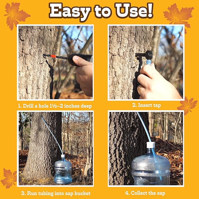 Deluxe Maple Syrup Tree Tapping &amp Sugaring Starter Kit-10 Taps &amp 10 Extra Long Food-Grade Tubing Drop Lines- Complete Set for Experts or Beginners to Start Tapping Your Own Sap- Wont Harm Tree