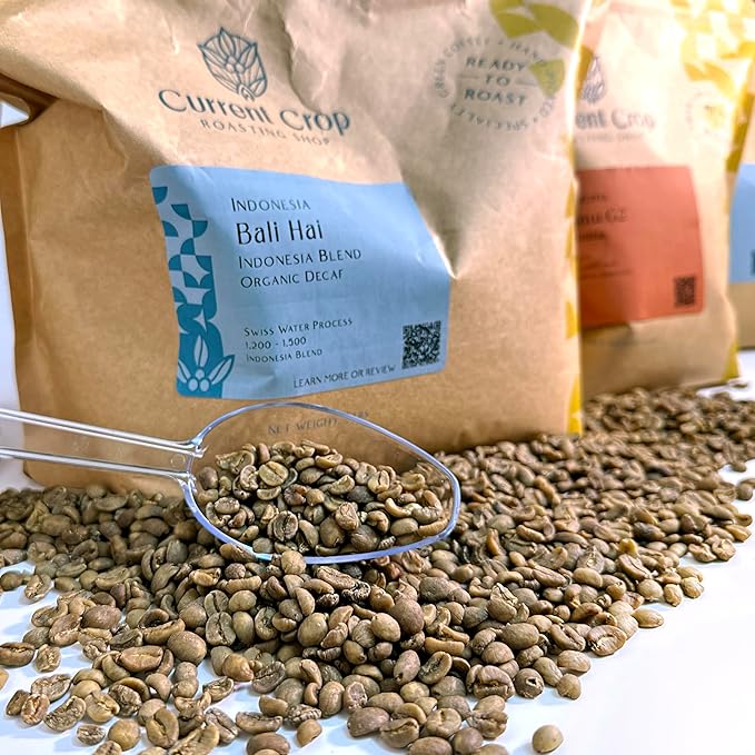 Current Crop Roasting Shop Bali Hai Organic Decaf Coffee Beans – Unroasted Green Coffee – Swiss Water Process – Indonesia Blend – Smooth &amp Balanced with Cocoa &amp Marshmallow Notes - 3 Pound Bag
