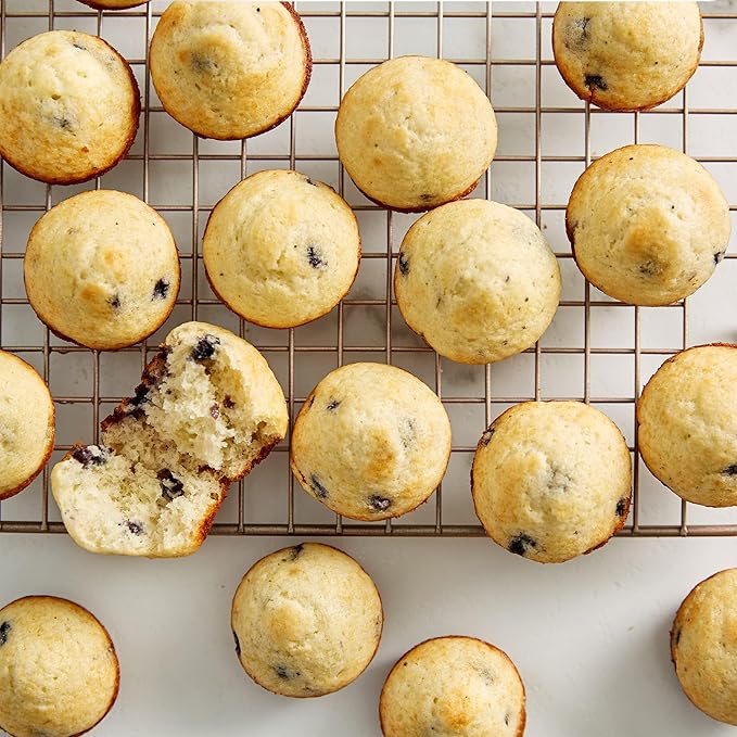Betty Crocker Wild Blueberry Muffin and Quick Bread Mix 16.9 oz (Pack of 10)