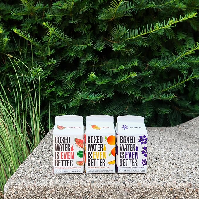BOXED WATER IS BETTER 8.5 oz. (24 Pack) - Blackberry Flavored BPA-Free Refillable Cartons Sustainable Alternative to Premium Plastic Bottled Water Mini Water for Kids