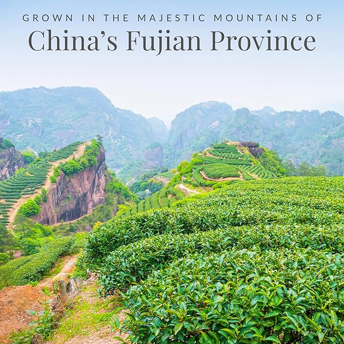 The Republic of Tea – Orange Blossom 100% White Tea Bags Steeps 50 Low-Caffeinated Cups