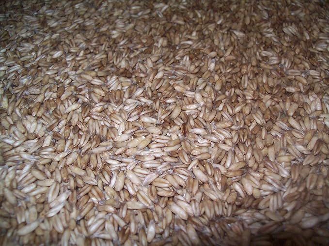 Whole Oat Groats: Raw Hulless Oats Farmer Direct 15 lbs. (Clear Poly Plastic Bag (Organic))