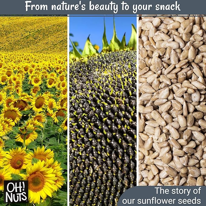 Oh! Nuts Sunflower Seeds No Shell - Roasted Unsalted - 2 lb - Healthy Energy Booster Snack - Packed in New York Zip-Seal Bag for Exceptional Freshness