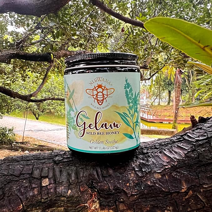 Golden Soothe by Nirwana – Pure Wild Bee Gelam Honey from Malaysian Rainforest 325 g Glass Jar
