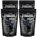 Survival Grocery® Freeze Dried Blueberries – Gluten-Free Unsweetened Blueberry Snack – Rich in Antioxidants Vitamin C &amp Fiber – Long Shelf Life Perfect for Smoothies Oatmeal Baking &amp On-t