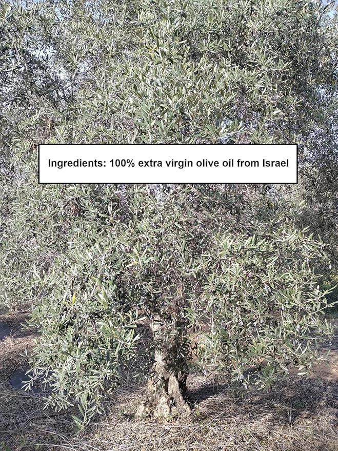 4 Pack of HOLIVE Extra Virgin Olive Oil from Israel Polyphenol Rich EVOO Source of Hydroxytrosol