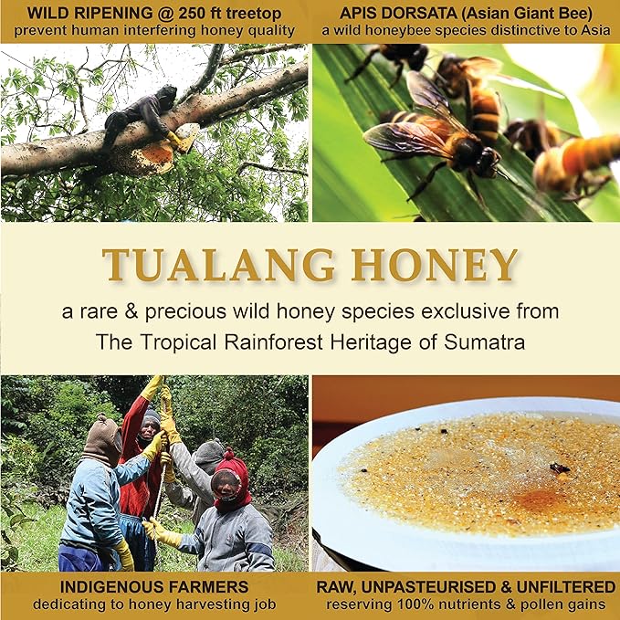[Gift Choice] Tualang Honey Gift Set | Total Activity 9.5+ to 14+ | Pollen Count 2.4M+ to 6.5M+ | Pollen Varieties 100+ to 200+ | Multiple Awards-Winning (Red)