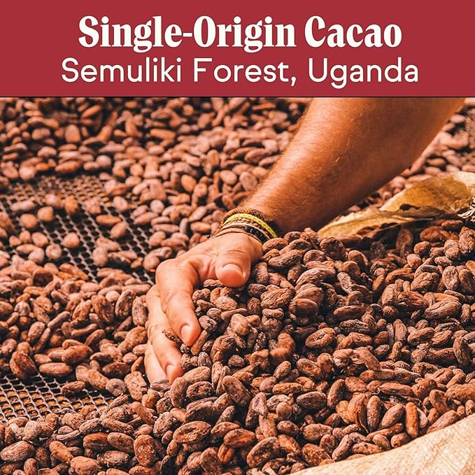 Raaka Oat Milk Mini Chocolates | 58% Cacao Vegan Milk Chocolate | Organic Vegan Gluten Free | Box of 100 Individually Wrapped Chocolates