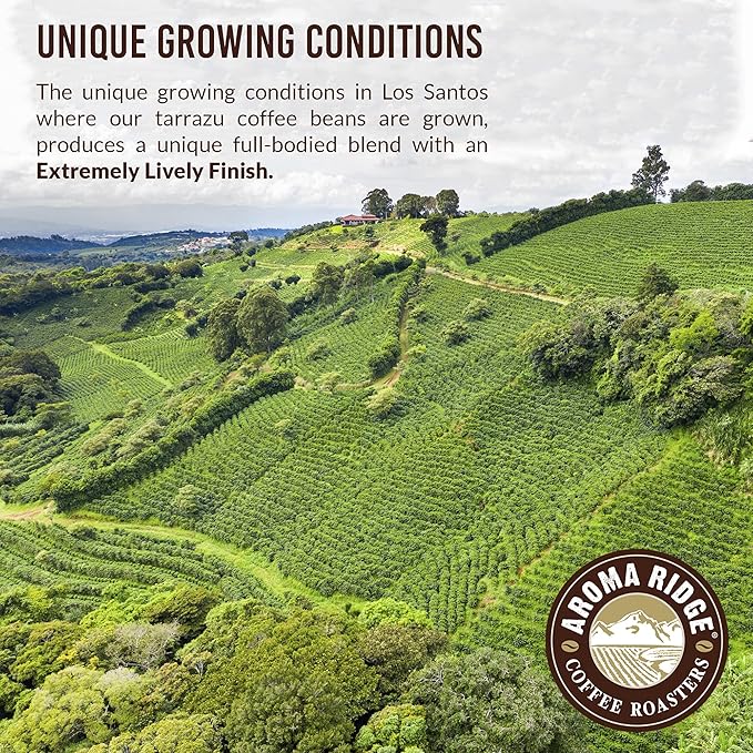 Tarrazu Costa Rica La Minita FaciendaWhole Bean Coffee by Aroma Ridge | 16oz Medium Roast Gourmet Coffee Beans | Full Bodied Roasted Coffee Beans With a Nutty-Sweet Aftertaste