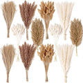 240 PCS Dried Flower Bouquet – Pampas Grass Floral Decor for Home Wedding and Boho Style | Perfect for Vases Fall Spring Summer and Winter Arrangements