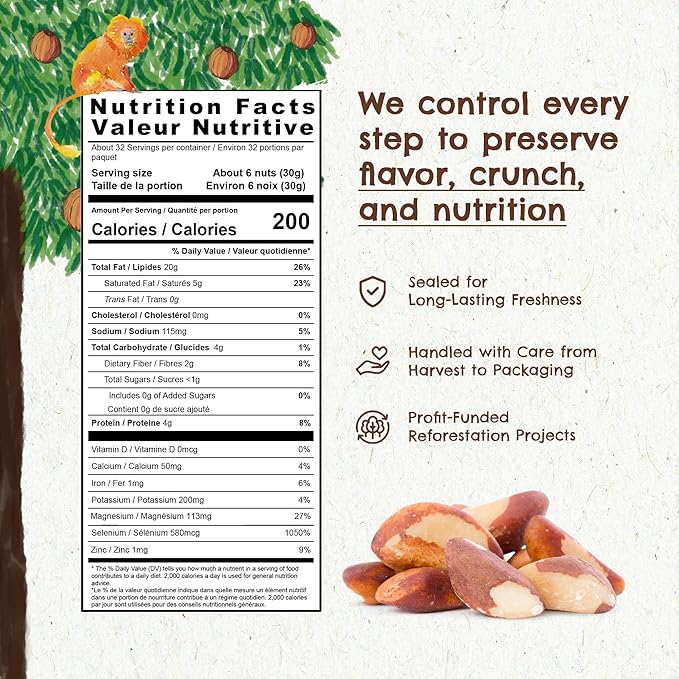 Snack The True Organic Brazil Nuts 32oz-2lbs – Roasted &amp Himalayan Salt – Kosher – Healthy-Rich in Vegetable Protein – From Amazon Rainforest – Fresh Vegan Gluten-Free and Oil Free – Forest Up