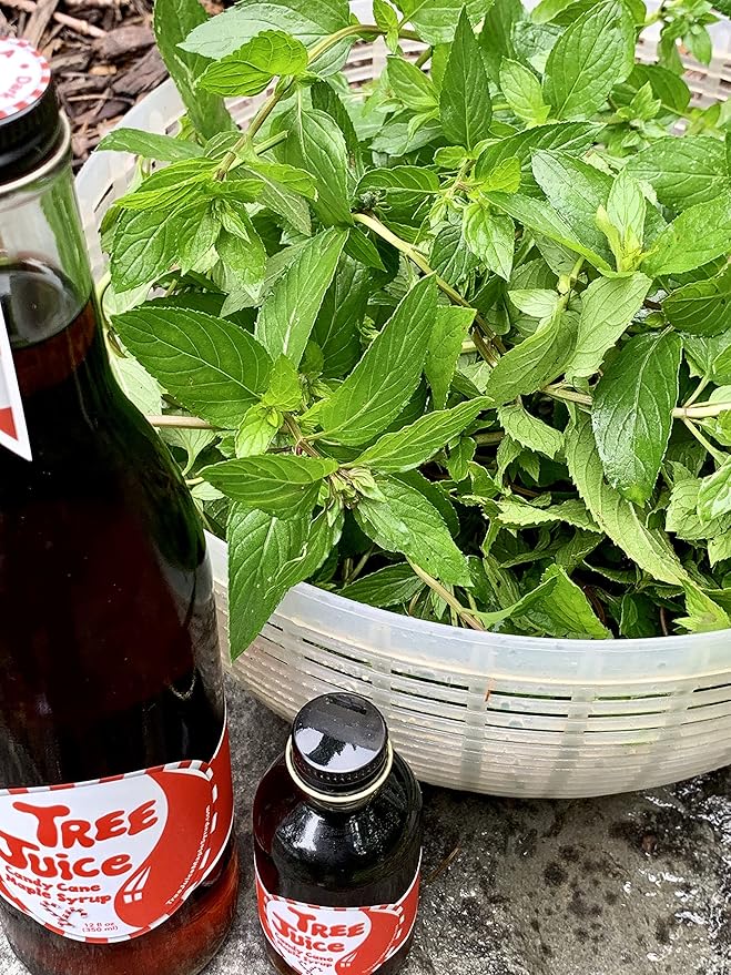 Tree Juice Peppermint Candy Cane Maple Syrup | 100% Pure Grade A Maple Syrup | All Natural Non GMO Vegan Gluten Free Vegetarian Paleo | 12 Ounce Bottle