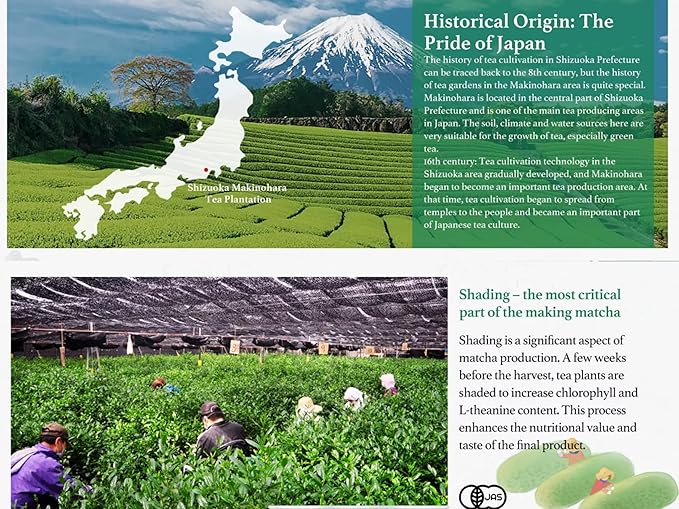 TEA-HAVA: CERTIFIED JAPANESE ORGANIC Matcha Superior Ceremonial Blend – Authentic Japanese First Harvest Ceremonial Grade AA (100% Organic) Matcha Green Tea Powder from Uji Kyoto (30g / 1.06 oz)