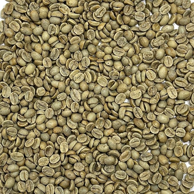 Current Crop Roasting Shop India Mysore Nuggets Green Coffee Beans – Unroasted Arabica for Home Roasting – Chikmagalur Single Origin Washed Process 5-Pound Bag