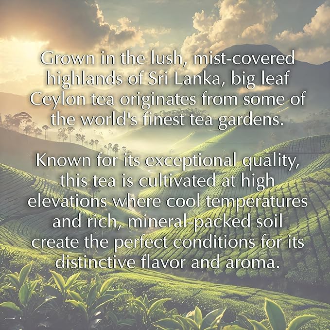 Romanov Tea | Ceylon Green Tea | Green Big Leaf | 100% Pure | Additives Free | GMO Free | Gluten Free | Dairy Free | Sugar Free | 100% Natural | 400g (1)