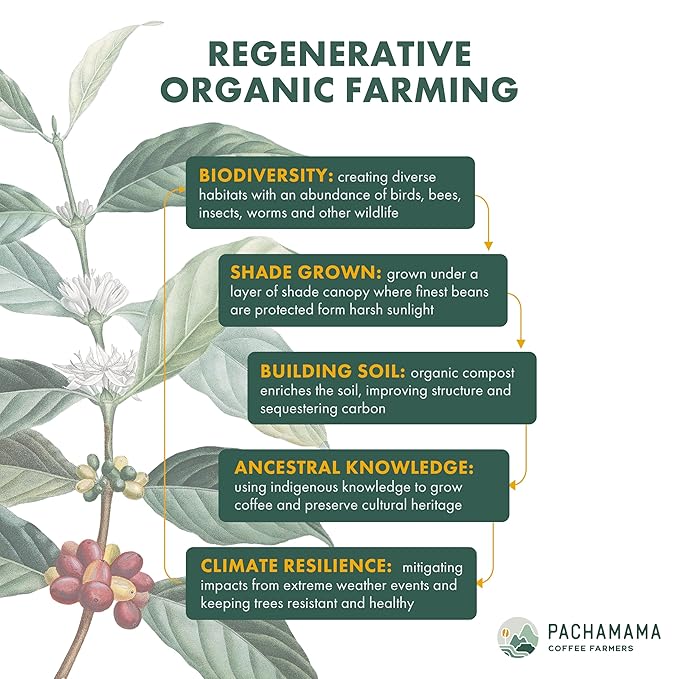 Pachamama Organic Coffee - Dark Roast Whole Bean Coffee Bundle - 2x10 oz bags - French Roast + Farmer's Blend - Farmer Owned &amp Regenerative