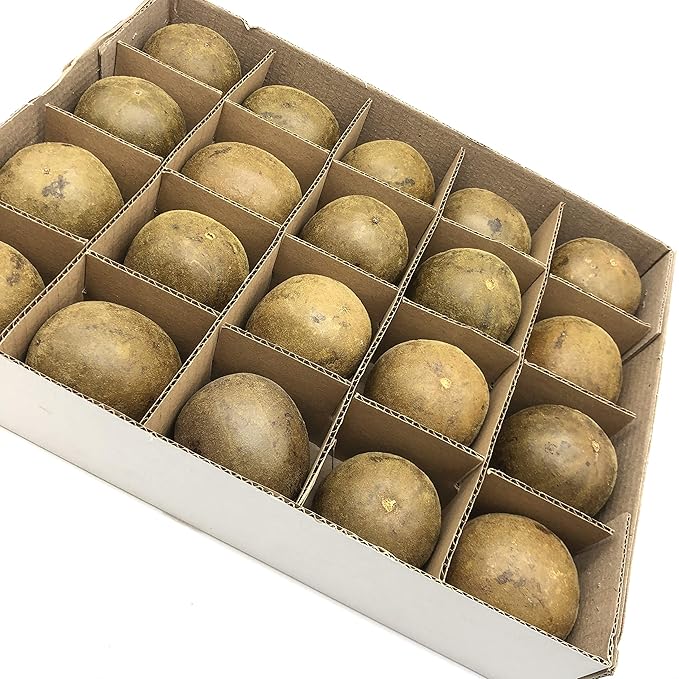 Herb Nourishing Lungs Dried Luo Han Guo/Monk Fruit 20 PCS Size Medium 中罗汉果