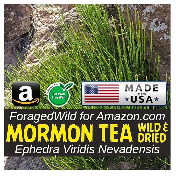 Mormon Tea - Brigham Tea - Ephedra | USA Wildcrafted 1/4lb Dried Subalpine