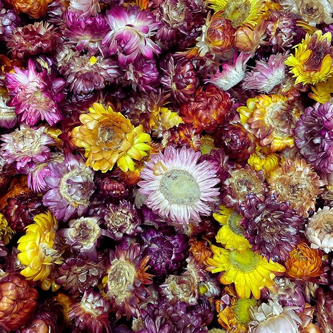 Dried Edible Flowers &amp Freeze-Dried Strawberry Slices Bundle | Natural Decorative Garnishes | No Added Sugar | Perfect for Cocktails Desserts &amp Baking