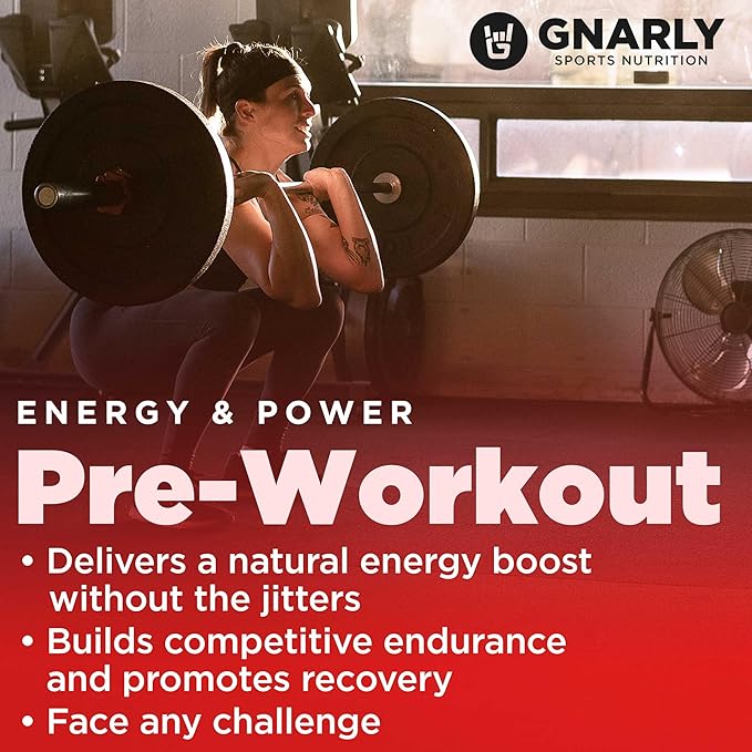 Gnarly Vegan Plant Protein Meal Replacement - Chocolate (28.2oz) and Gnarly Nutrition Preworkout Mango (14.82oz)