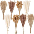 200PCS Dried Flower Bouquet – Pampas Grass Floral Decor for Home Wedding and Boho Style | Perfect for Vases Fall Spring Summer and Winter Arrangements