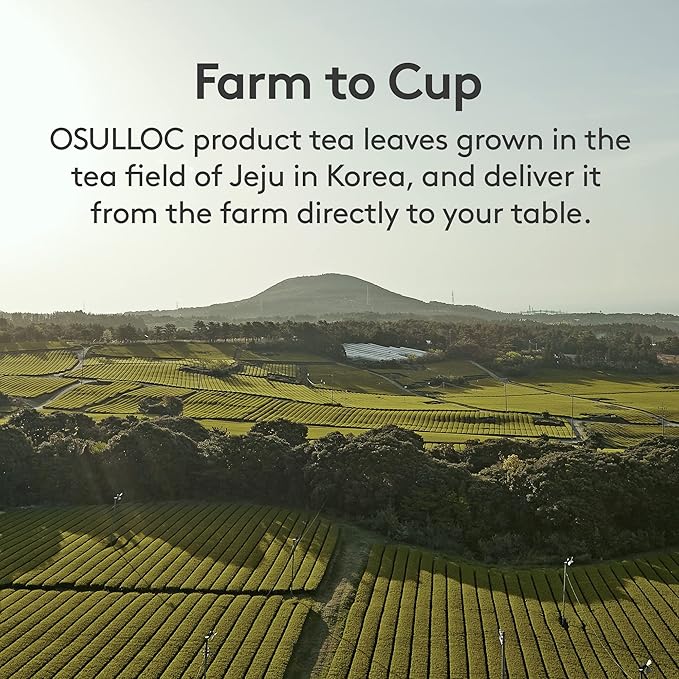 OSULLOC Matcha Powder (Unsweetened) Premium Organic (USDA) Pure Leaf Green Tea from Jeju 1.41 oz 40g