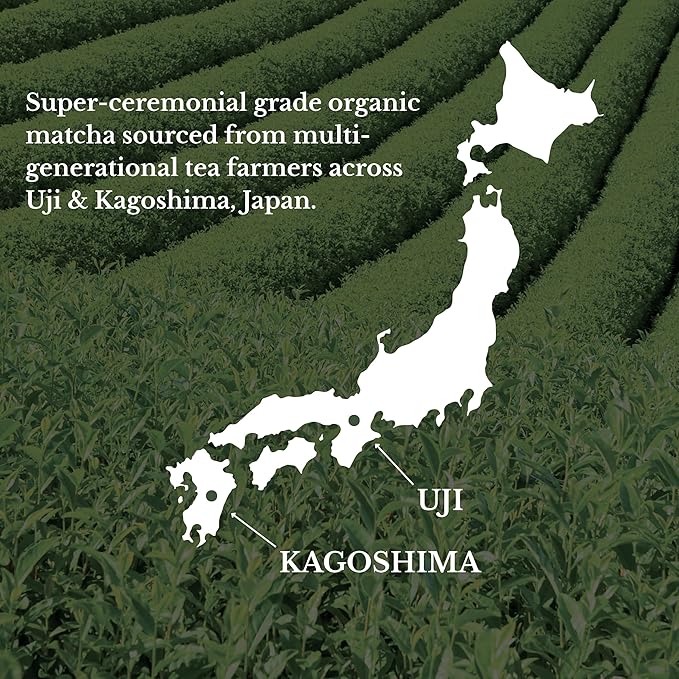 Sage Matcha Focus Organic Matcha Latte Packets - Ceremonial Grade Japanese Matcha Powder with Oat Milk - Unsweetened Plant-Based Instant Matcha Latte Drink Mix Dairy-Free - 6 Single-Serve Sticks