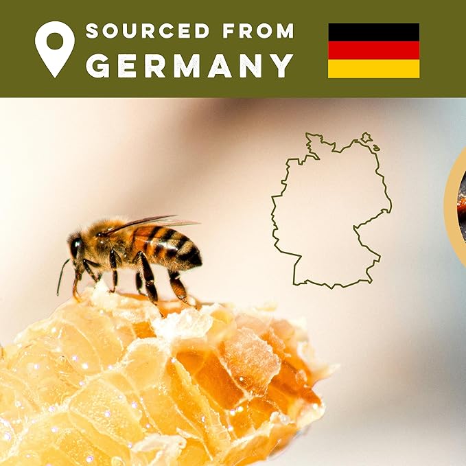 Goshen World Honey Collection - Forest Pine Blossoms from Germany - Raw Rare and Sustainable Floral Sources - Derived from Natural Flower Nectar with Antioxidants - Nature's Sweetener - 32oz