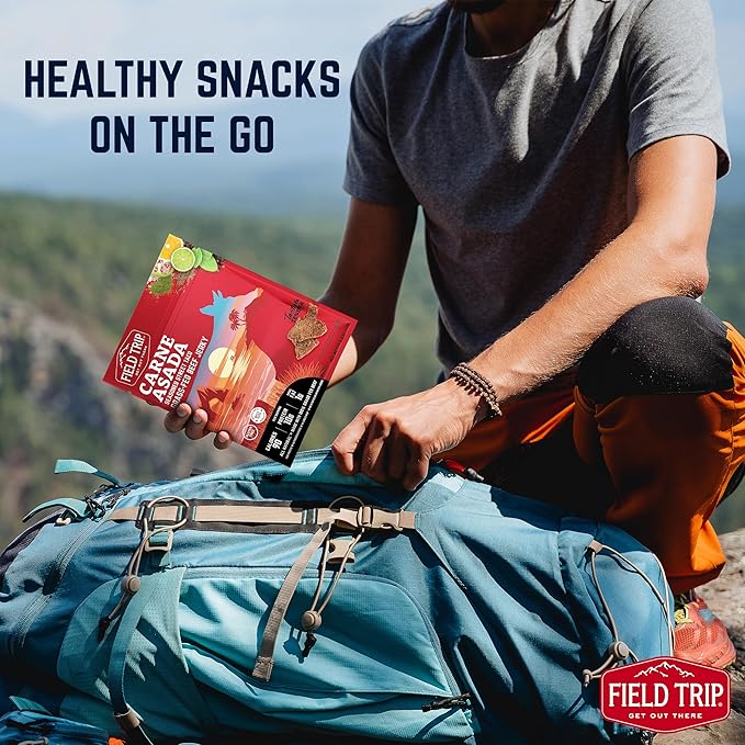 Field Trip Grass Fed Beef Jerky Healthy Gluten Free Snacks All Natural High Protein Low Carb Snack with No Nitrates 2.2oz 4 Pack Carne Asada
