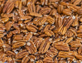 The Pecan Pantry Pecan Halves - Natural Raw Fancy Pecans Halves for Dishes and Desserts - U.S.A. Grown - Flavourful Shelled Whole Pecans Halves for Home Bakers &amp Chefs - 5 lb bulk box