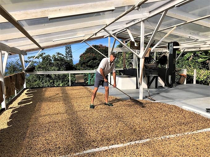 100% Kona Coffee – GROUND Medium roast Single estate gourmet coffee 16 ounces Farm fresh roasted from Domain Kona Coffee