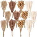 300 PCS Dried Flower Bouquet – Pampas Grass Floral Decor for Home Wedding and Boho Style | Perfect for Vases Fall Spring Summer and Winter Arrangements
