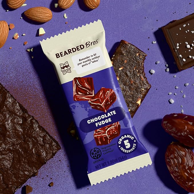 Bearded Brothers Organic Vegan Energy Bars - Gluten &amp Soy Free Paleo Whole 30 | Non GMO Low Glycemic High Protein Fiber (10 Pack Chocolate Fudge)