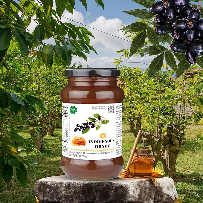 INDIGENOUS HONEY Jamun Honey Raw Organic Natural Pure Unprocessed NMR Tested Unpasteurized Unheated 530g Glass Jar Pack of 1