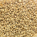 Single Origin Unroasted Green Coffee Beans picked by BestBeansForMe Specialty Grade our own and partneres farm (5 lbs Indonesia Sumatra)