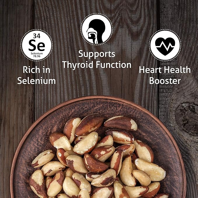 Premium Wild Harvested Dry Roasted Brazil Nuts with Sea Salt 1 lb (16 oz) – High Selenium Batch Tested Peanut &amp Gluten Free Non-GMO Kosher Resealable Bag