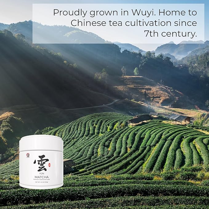 LÜCHA Ceremonial Grade Matcha Tea Powder - Premium First Harvest Gluten-Free Vegan 100% Pure Unsweetened No Additives 3.5oz (100g) Tin